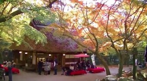 0231.奈良県　奈良公園３